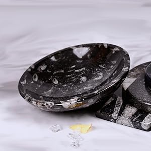 Orthoceras Bowl - Certified Orthoceras Fossil Kuber Bowl with Certificate for Prosperity, Wealth and Success (Kuber Bowl)