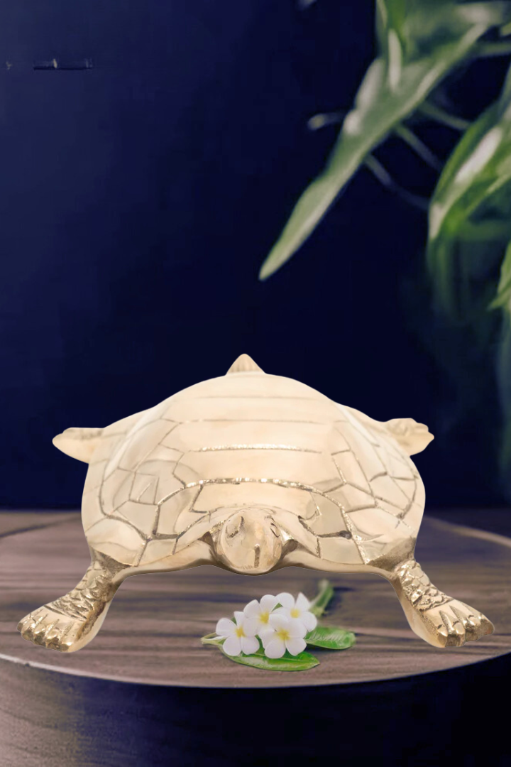 Brass Hollow Big Turtle