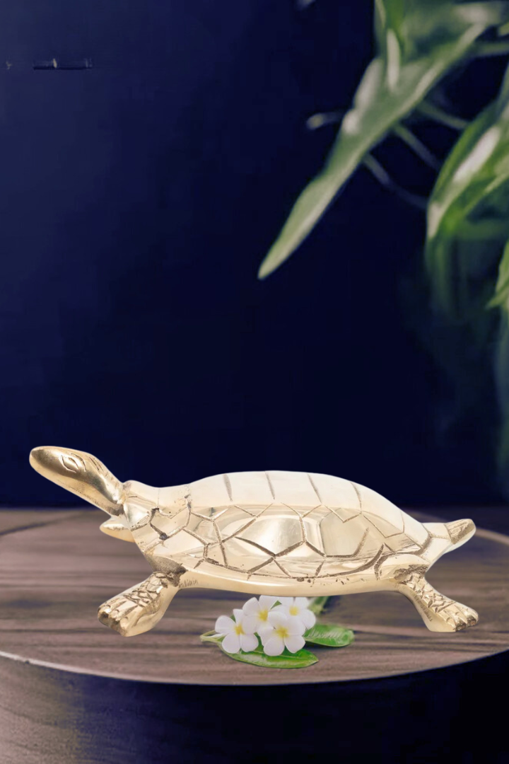 Brass Hollow Big Turtle